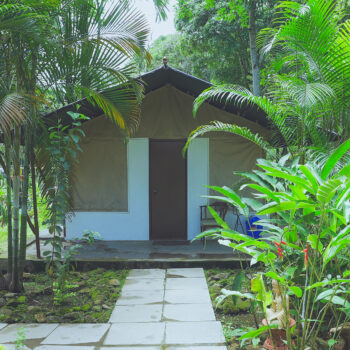 Best Resorts in Kodaikanal