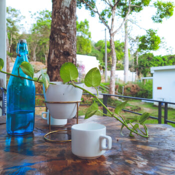 Trekking Places in Kodaikanal